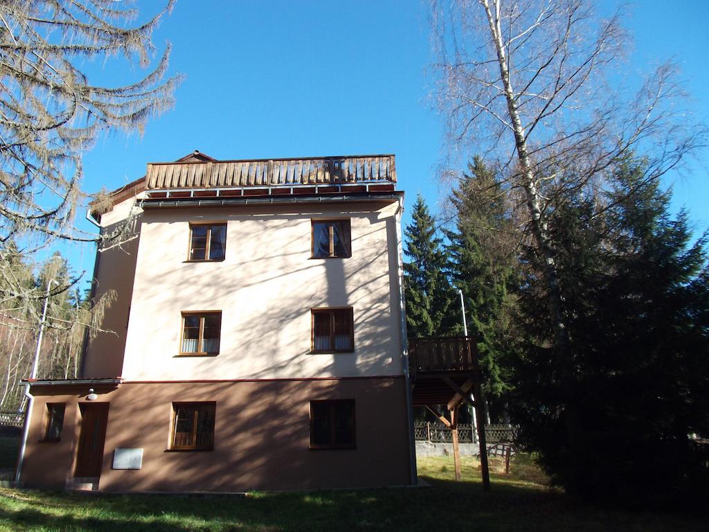 Apartmány Domino Železná Ruda Exterior foto